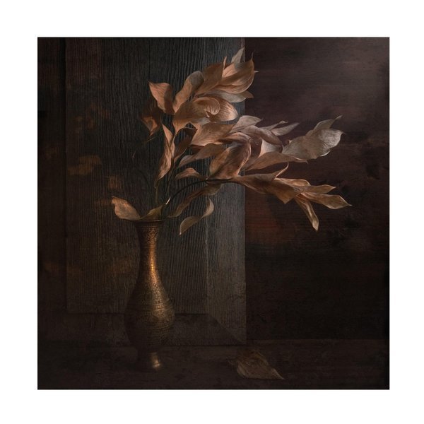 Igor Tokarev 'Premonition Of Autumn' Canvas Art, 14x14, Trademark Fine Art, Mfr#: 1X14527-C1414GG